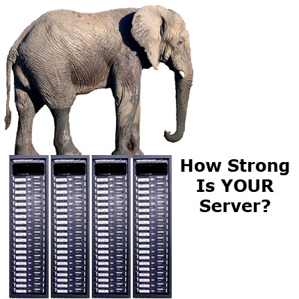 Website Hosting