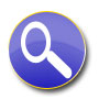semi-custom real estate websites